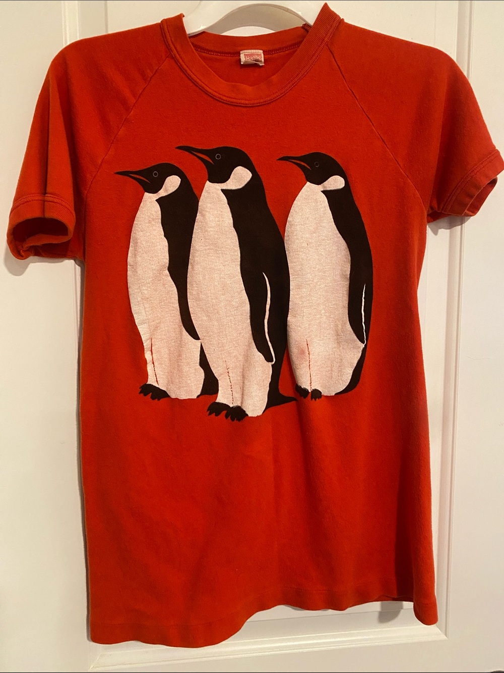 Women’s Vintage Penguins/Antarctica Shirt